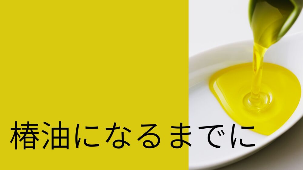 椿油ができるまでにかかる時間は？