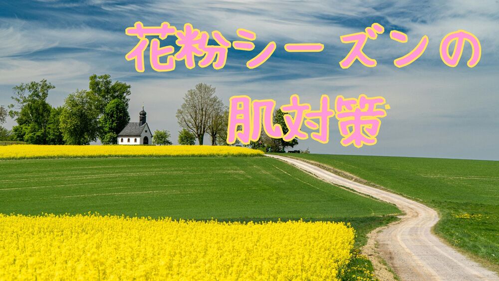 春の屋外で花粉が舞うイメージ